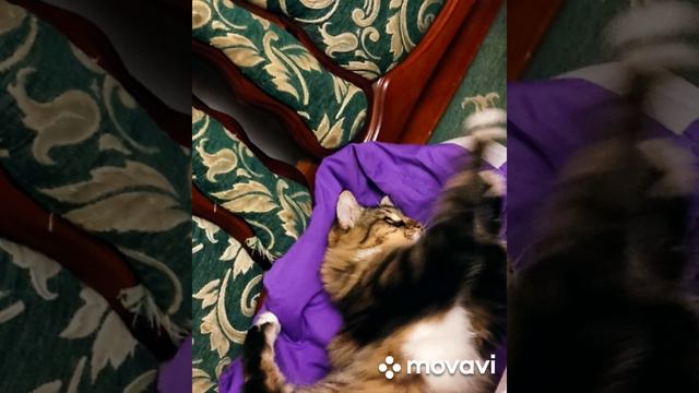 Как мы копали траншею под виноград. автор Светлана Григорьева Голик смотреть онлайн