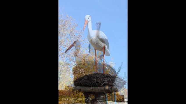 Гнездо для аиста своими руками смотреть онлайн