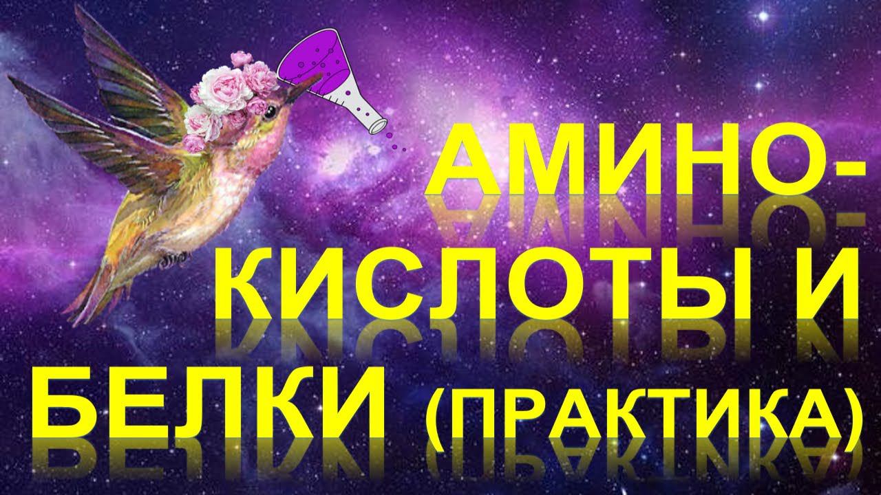 64. Аминокислоты и Белки (практика) смотреть онлайн