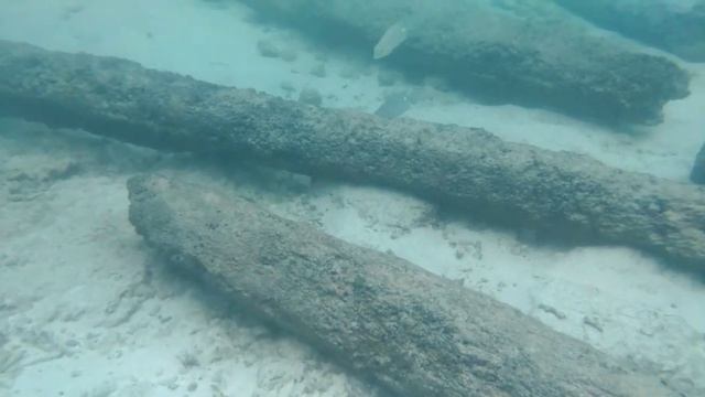 Подводный мир.