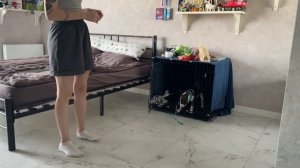 ЗАВЕЛИ ЩЕНКА БУЛЬТЕРЬЕРА | БУДНИ С ЩЕНКОМ БУЛЬТЕРЬЕРА