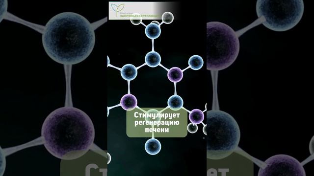 Как обычный сорняк возвращает молодость печени смотреть онлайн