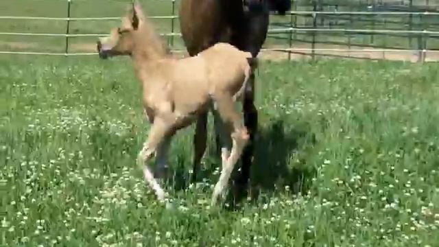 HOT WIRED WHIZ FIRST DAY OUT смотреть онлайн