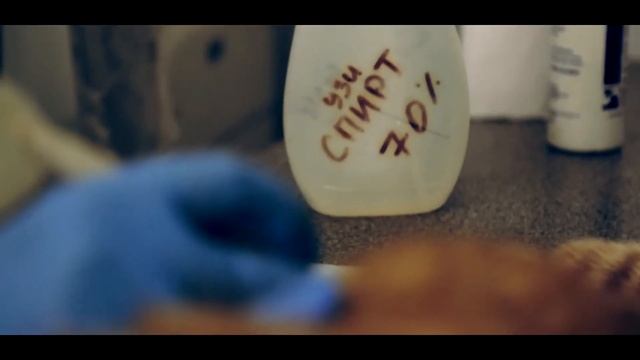 Сеть Ветеринарных клиник 