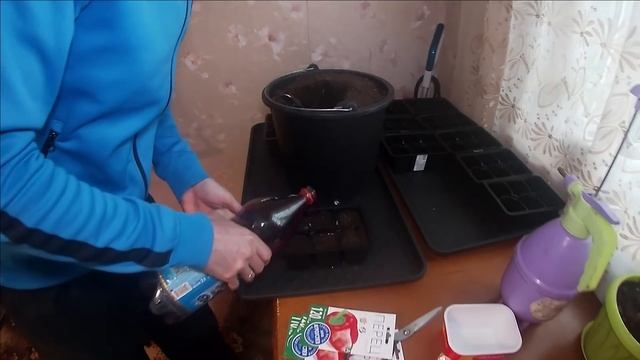 Всей семьёй готовимся к новому сезону