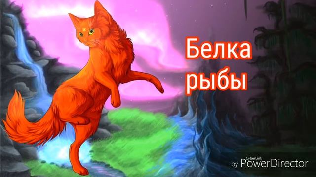 Гороскоп котов - воителей по знакам зодиака.?? смотреть онлайн