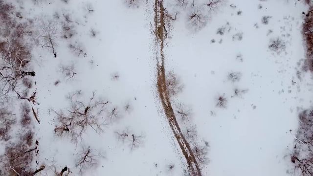 Relaxing Christmas Carol Music ? Quiet and Comfortable Instrumental Music, Christmas Ambience смотреть онлайн