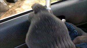 Nissan Teana J32 2010 как снять карты дверей и накидать немного шумоизоляции