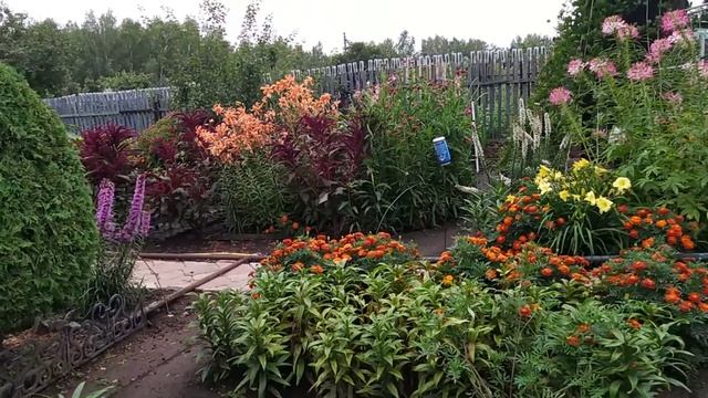 #обзор#дачи#после#дождя