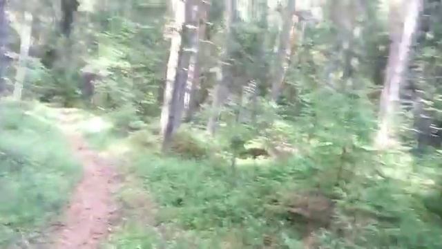 Распаковка пинпоинтера Garret с Китая,и коп в лесу. смотреть онлайн