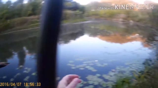 Рыбалка на реке Иловля . Удочка - закидная смотреть онлайн