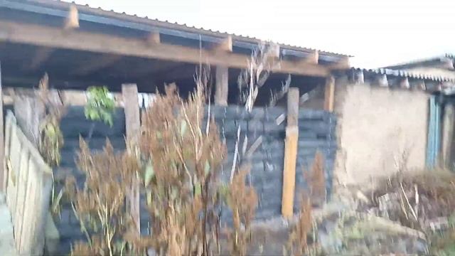 Польза от шины смотреть онлайн