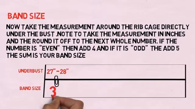 HOW TO MEASURE YOUR BRA SIZE смотреть онлайн