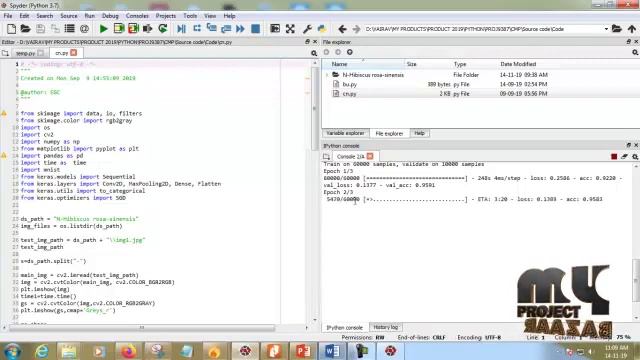Python To Identify Tree Species with Highly Similar Leaves Based on CNN MyProjectBazaar смотреть онлайн