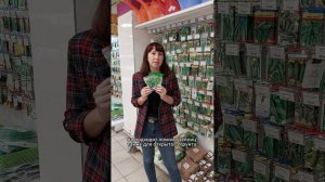 ТЕНЕВЫНОСЛИВЫЕ гибриды ОГУРЦОВ