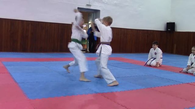 Айкидо Семь самураев Благовещенск 29 .11 . 2015 г. смотреть онлайн