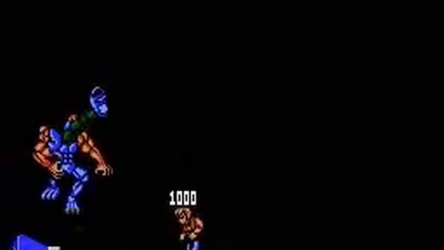 Battletoads & Double Dragon The Ultimate Team (NES, Famicom, Dendy) смотреть онлайн