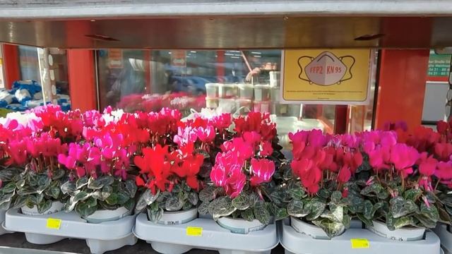 ЗАКУПИЛАСЬ НА 55 ЕВРО? | #459 смотреть онлайн