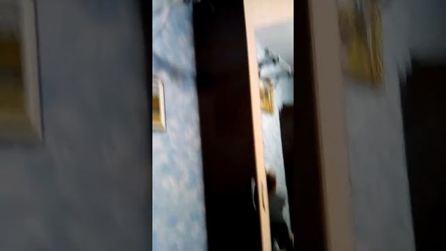 Челлендж кто больше провисит на турнике смотреть онлайн