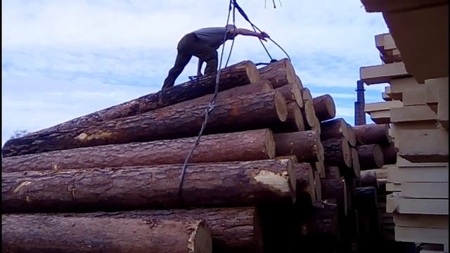 Стропальщик леса - Тяжелая и опасная работа стропальщика смотреть онлайн
