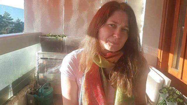 JANUARY: To Plant Or Not To Plant, That Is The Question