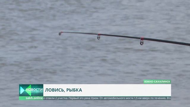 Начался лицензионный лов симы. Одна лицензия стоит 160 рублей смотреть онлайн