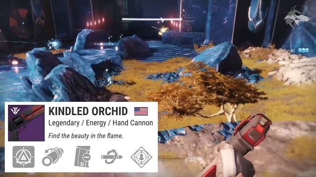 Destiny 2 | How to Get CURATED FORGE WEAPONS! All Masterwork Frame Drops & Perk Rolls (Black Armory смотреть онлайн