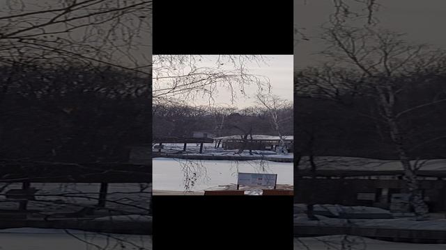 вднх фонтан - колос 20240322 смотреть онлайн