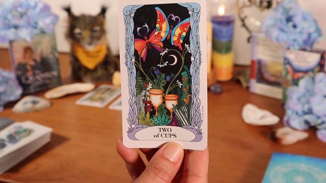 ♏SCORPIO⭐GIFT OF TRUTH!⭐TAROT & ORACLE ?WEEKLY CHECK-IN: NEXT 7 - 14 DAYS смотреть онлайн