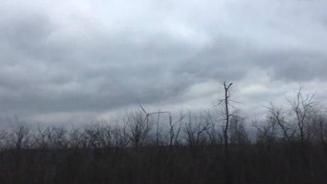 Мы и дачи. Выезд в сторону 