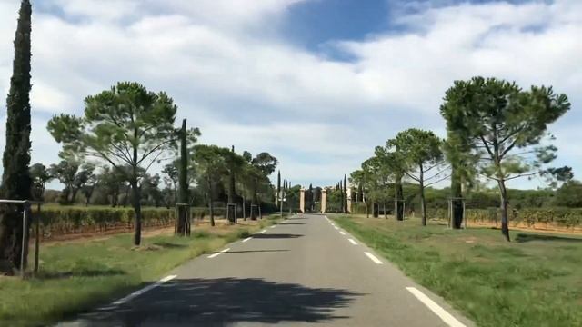 Красиво как в раю/фламинго/дерево змея/Российский миллиардер смотреть онлайн