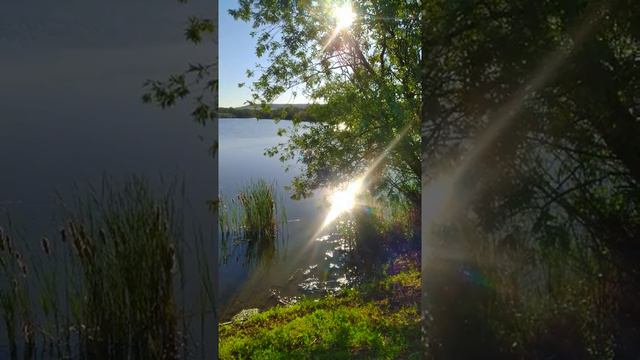 Природа Саратовской области смотреть онлайн