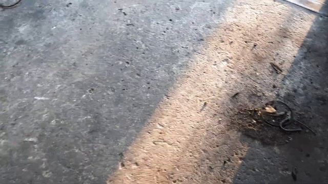 Пол года трактору (какая была причина поломки.) МТЗ -80 проработал 11лет без поломки диска сцеплени смотреть онлайн