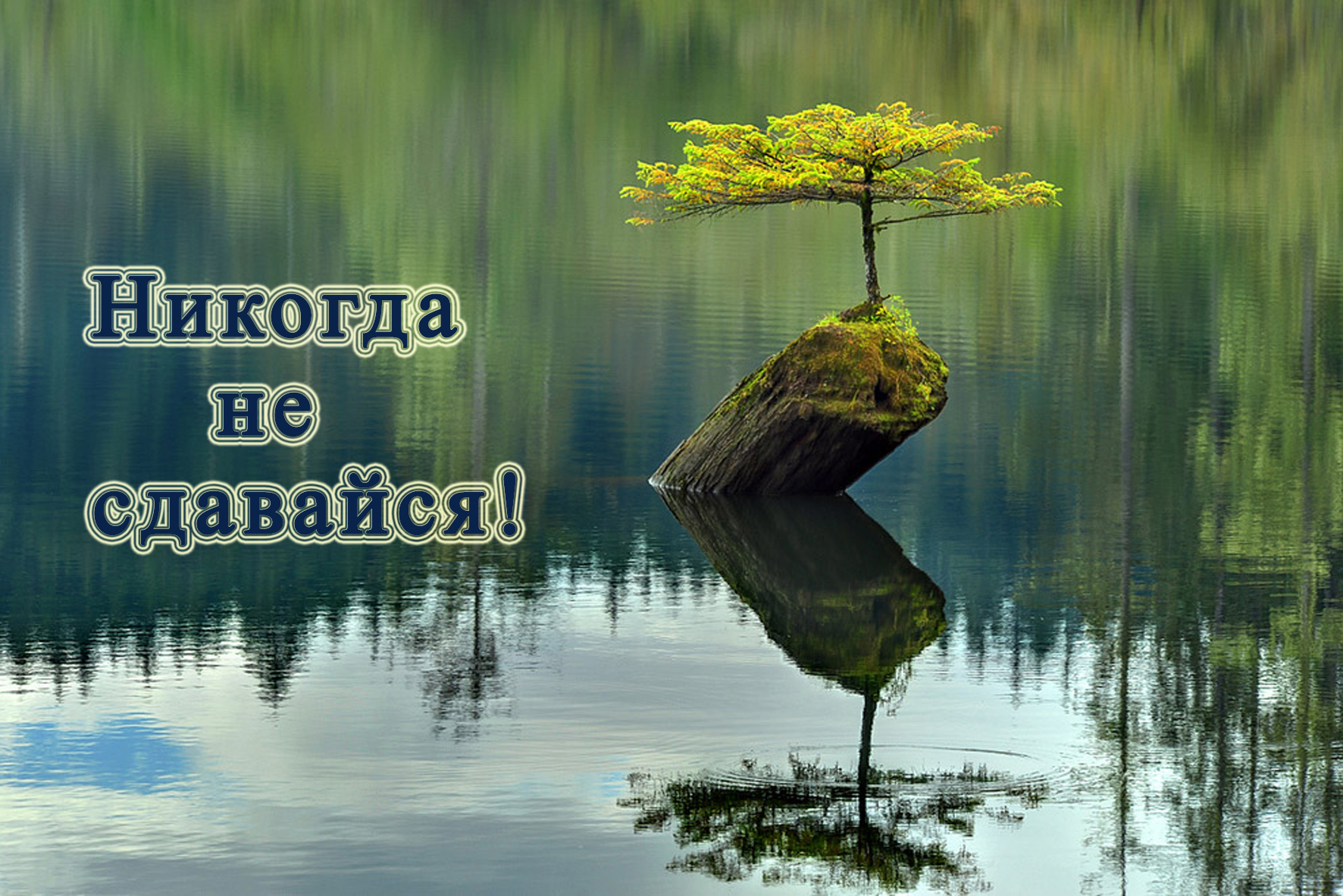 Никогда не сдавайся! смотреть онлайн