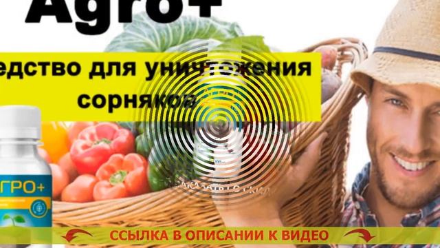 Борьба с сорняками на газоне гербицидами смотреть онлайн