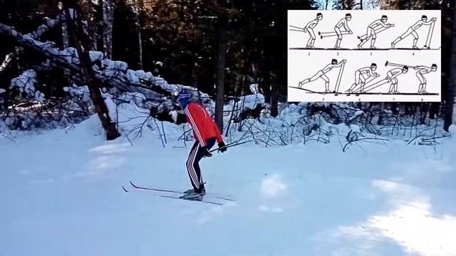 Одновременный одношажный классический ход смотреть онлайн