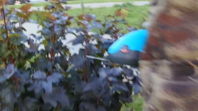 Ножницы для газонов-кусторез Gardena 9853-20(Тест) смотреть онлайн