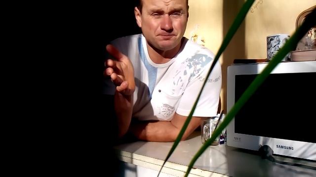 Моя схема подкормки однолетнего саженца винограда смотреть онлайн