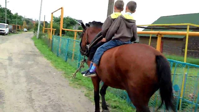 Дети катаются на лошадке смотреть онлайн