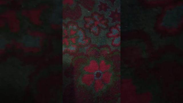 *Эрсаг* Чистим Дамлой гуашь на ковре смотреть онлайн