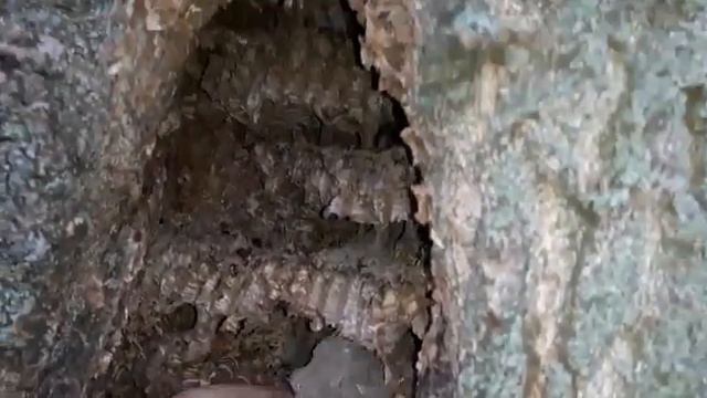 Форсирование Днепра Поход виходного дня... смотреть онлайн