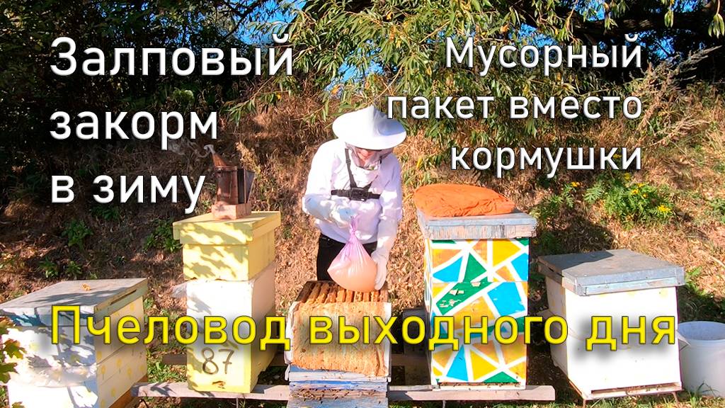 Залповый закорм в зиму. Пчеловод выходного дня. смотреть онлайн