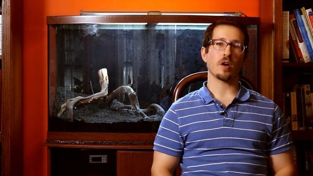 Lighting a Planted Tank: Understanding CRI & Kelvin смотреть онлайн