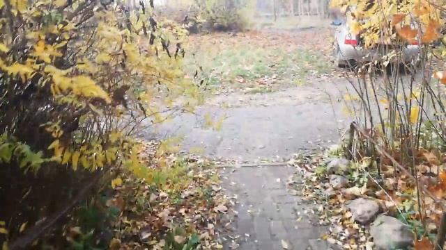 Квартира в Печорах ПРОДАЖА смотреть онлайн