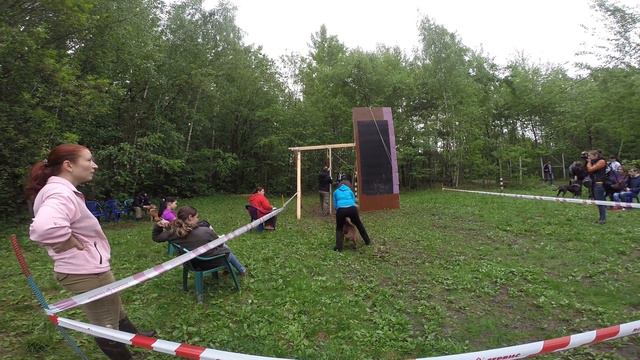 питбуль шоу: прыжки в высоту 6 смотреть онлайн