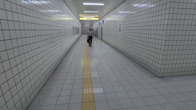 АНОМАЛЬНОЕ МЕТРО / Нашёл все аномалии! / Прохождение EXIT 8 смотреть онлайн