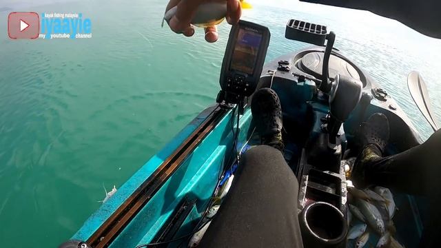 IKAN TARGET DAPAT GENGG!! KAYAK FISHING MALAYSIA..VLOG # 34 смотреть онлайн