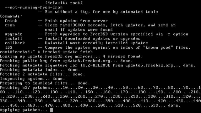 FreeBSD c нуля, часть №3, обновление системы смотреть онлайн