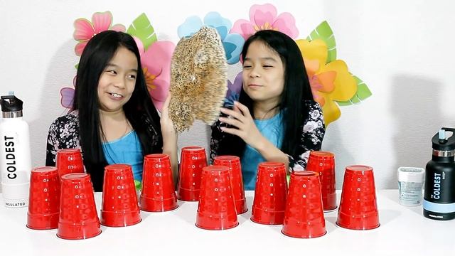 MYSTERY MEMORY MATCH CUP CHALLENGE! | Tran Twins смотреть онлайн