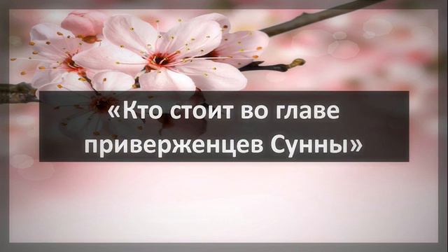 Ринат Абу Мухаммад  «Кто стоит во главе приверженцев Сунны?»